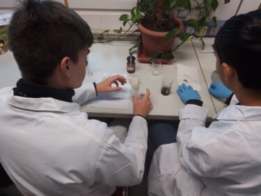 Fachkenntnisse im Bereich Chemie, Projekttag im ABI-Lab