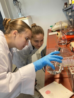 Bio Leistungskurs zu Besuch im ABI Lab